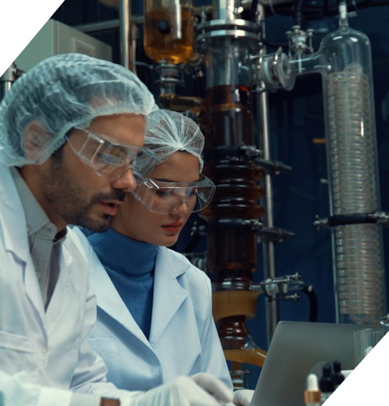 Assessoria empresarial